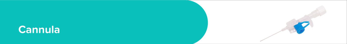 Cannula