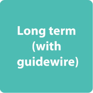 long term (with guidewire)