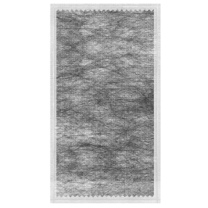 2551901---ACTISORB-SILVER-Activated-Charcoal-Dressing-10