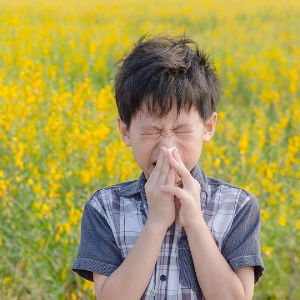 Allergies shutterstock_397846021