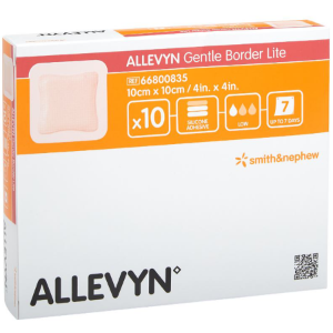 3591682---ALLEVYN-GENTLE-BORDER-LITE-10x10xcm ---10